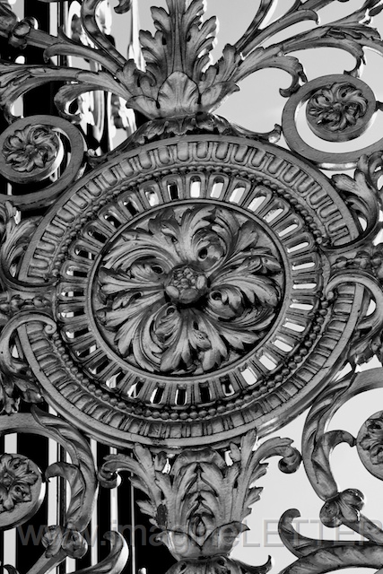 Wall_Art_Alphabet_Photography_Art_ 1723.jpg